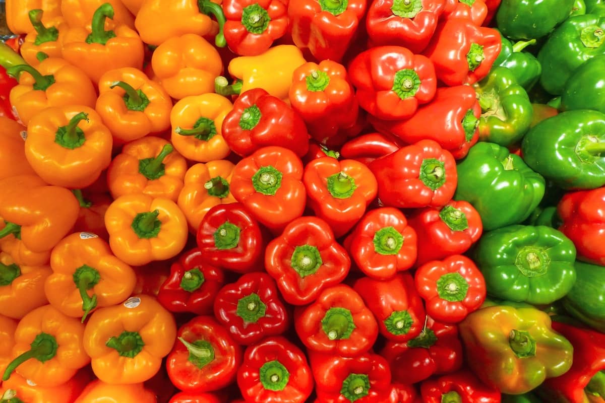Paprika
