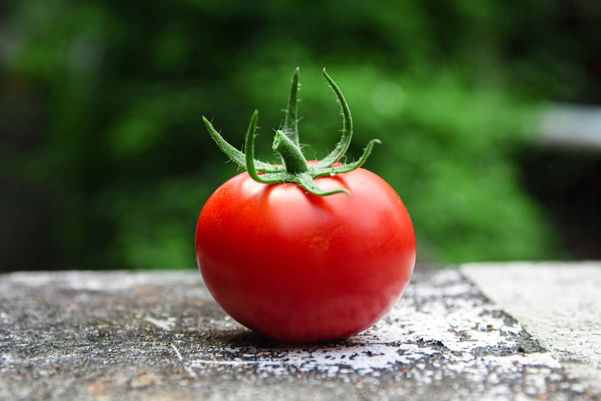 Tomaten