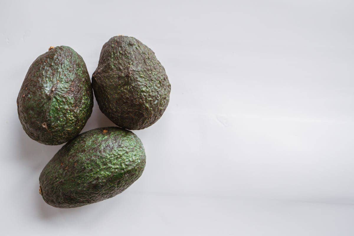 Avocado