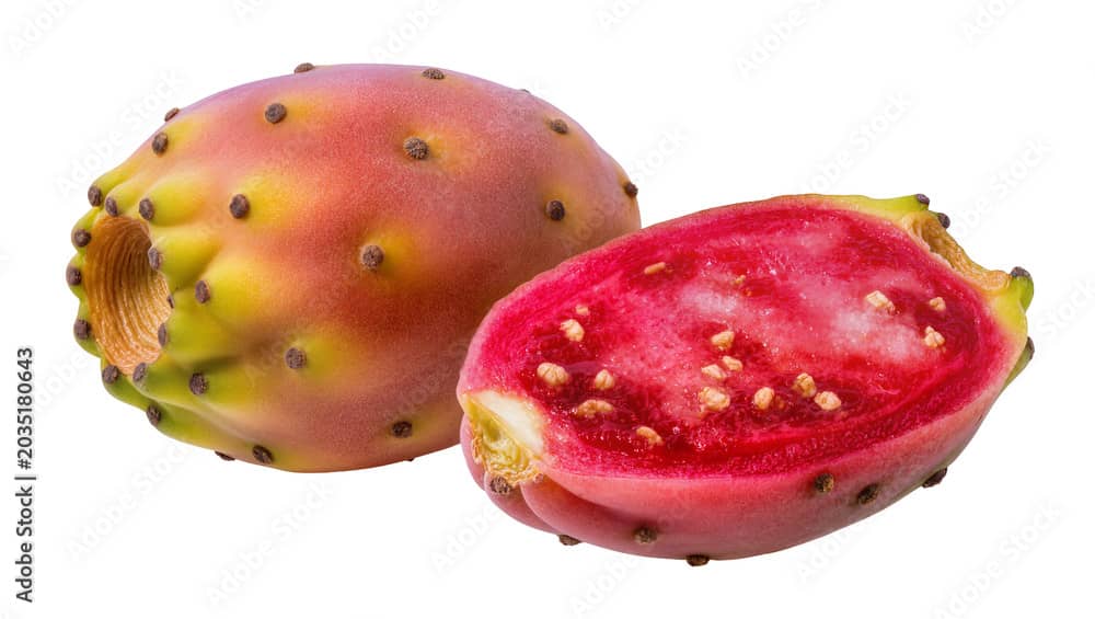 Cactusvijgen