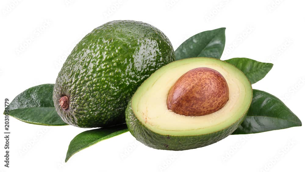Avocado